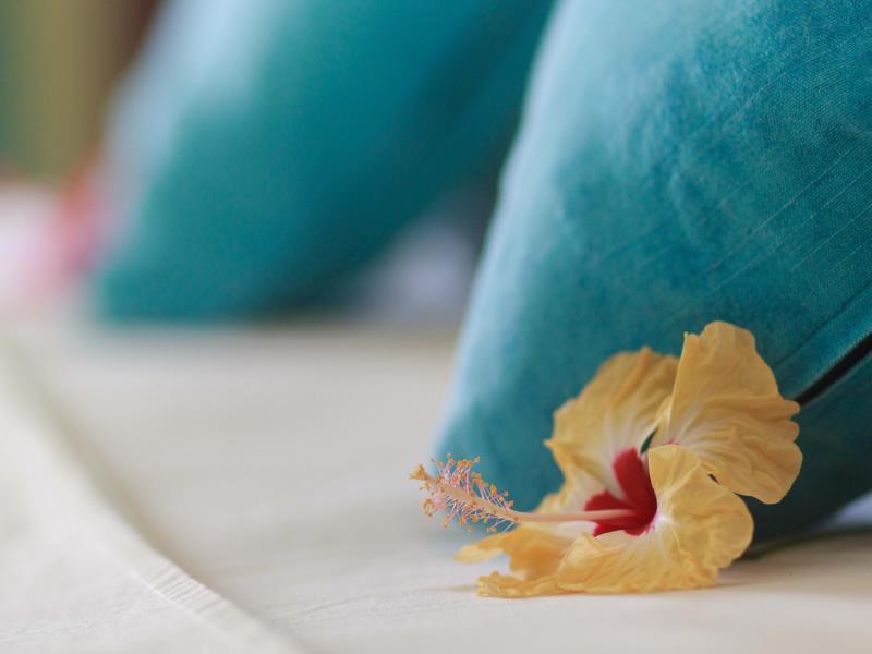 Coco Blanche Apartment Anse Royale Ngoại thất bức ảnh