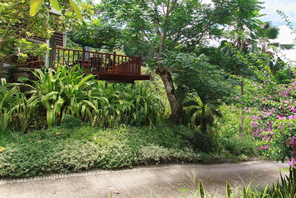 Coco Blanche Apartment Anse Royale Ngoại thất bức ảnh