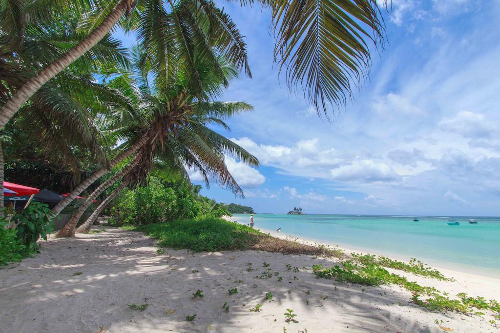 Coco Blanche Apartment Anse Royale Ngoại thất bức ảnh